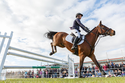 Photo from Day 2 of Equidays 2015, held at Mystery Creek, Hamilton, New Zealand, on Saturday 17 October 2015.  Photo: Mike Walen / KeyImagery Photography. © Equidays / www.equidays.co.nz
