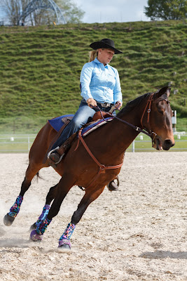 Photo from Day 2 of Equidays 2015, held at Mystery Creek, Hamilton, New Zealand, on Saturday 17 October 2015.  Photo: Mike Walen / KeyImagery Photography. © Equidays / www.equidays.co.nz