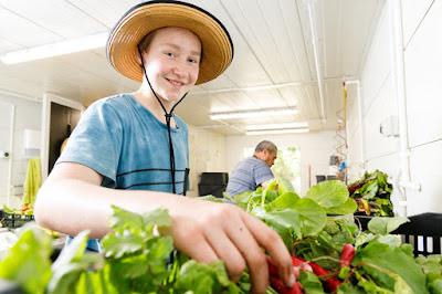 Photo for Earth Stewards, urban certified organic market garden, based in Hamilton, New Zealand. Taken: Saturday, 11 January 2020. Photography: Mike Walen / KeyImagery Photography. Copyright: © KeyImagery Photography.
