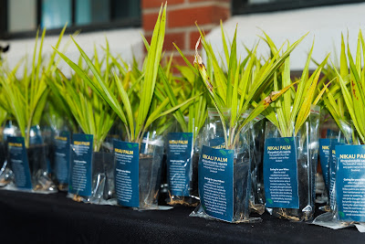 Photo from the HCC NZ Citizenship Ceremony (Morning) held in The Atrium, Wintec/Te Pukenga, Hamilton, Waikato, New Zealand at 10:00am on Monday, 12 February, 2024. Photo: Mike Walen / KeyImagery Photography. Copyright: © Hamilton City Council.