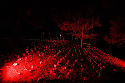 Photo from the Anzac Day 2023 Dawn Parade & Service held at Memorial Park, Hamilton, Waikato, New Zealand. Taken: Tuesday, 25 April, 2023. Photography: Mike Walen / KeyImagery Photography. Copyright: © Hamilton City Council.