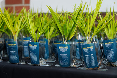 Photo from the HCC NZ Citizenship Ceremony (Afternoon) held in The Atrium, Wintec/Te Pukenga, Hamilton, Waikato, New Zealand at 3:30pm on Monday, 12 February, 2024. Photo: Mike Walen / KeyImagery Photography. Copyright: © Hamilton City Council.