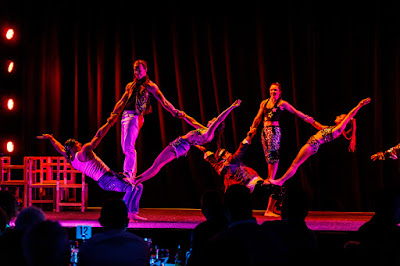 Photo from the Gala Dinner on Day 2 of the HIANZ Conference & Trade Show 2019 held at the Claudelands Events Centre, Hamilton, New Zealand. Taken: Thursday, 4 July 2019. Photography: Mike Walen / KeyImagery Photography. Copyright: © HIANZ.