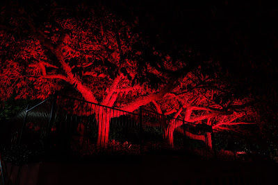 Photo from the Anzac Day 2025 Dawn Service held at Memorial Park in Hamilton, Waikato, New Zealand on Friday, 25 April, 2025. Photography by Mike Walen / KeyImagery Photography. Copyright: © 2025 Hamilton City Council.