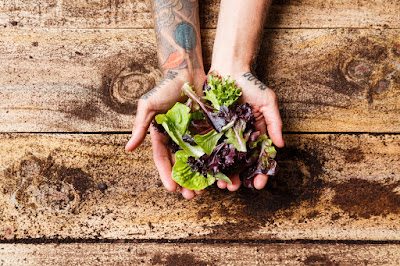 Photo for Earth Stewards, urban certified organic market garden, based in Hamilton, New Zealand. Taken: Saturday, 11 January 2020. Photography: Mike Walen / KeyImagery Photography. Copyright: © KeyImagery Photography.