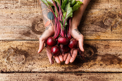 Photo for Earth Stewards, urban certified organic market garden, based in Hamilton, New Zealand. Taken: Saturday, 11 January 2020. Photography: Mike Walen / KeyImagery Photography. Copyright: © KeyImagery Photography.