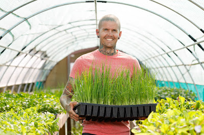 Photo for Earth Stewards, urban certified organic market garden, based in Hamilton, New Zealand. Taken: Saturday, 11 January 2020. Photography: Mike Walen / KeyImagery Photography. Copyright: © KeyImagery Photography.