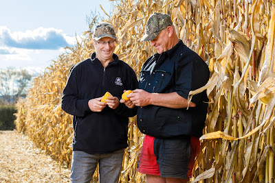 Photo from the MaizeGrain Catalogue photoshoot for Pioneer®. Featuring farmer, Kevin Wing and Pioneer Rep Brent Bishop at the Wing Farm, Morrinsville, Waikato. Taken: 20 May 2020. Photo: Mike Walen / KeyImagery Photography for Barker Photography. © Genetic Technologies Ltd.