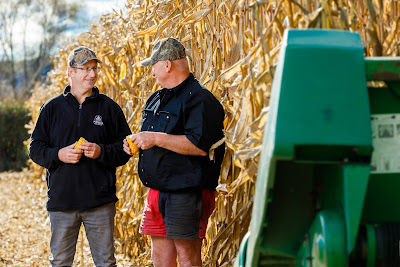 Photo from the MaizeGrain Catalogue photoshoot for Pioneer®. Featuring farmer, Kevin Wing and Pioneer Rep Brent Bishop at the Wing Farm, Morrinsville, Waikato. Taken: 20 May 2020. Photo: Mike Walen / KeyImagery Photography for Barker Photography. © Genetic Technologies Ltd.