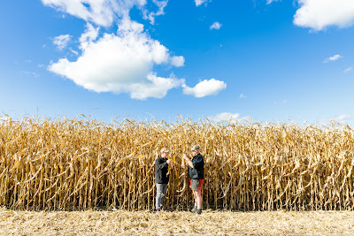 Photo from the MaizeGrain Catalogue photoshoot for Pioneer®. Featuring farmer, Kevin Wing and Pioneer Rep Brent Bishop at the Wing Farm, Morrinsville, Waikato. Taken: 20 May 2020. Photo: Mike Walen / KeyImagery Photography for Barker Photography. © Genetic Technologies Ltd.