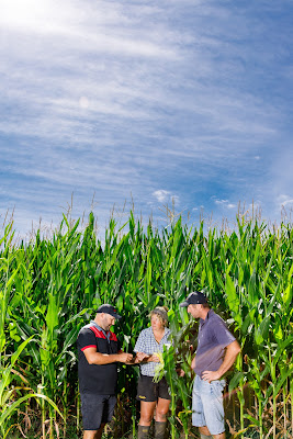 Photo from the Seed Guide Testimonial photoshoot for VPMAXX® Catalogue. Featuring farmer, Don Watson, with VPMAXX® Representative, Joe Heng, at the Moreland Farm, South Head Road, Helensville. Taken: 14 February 2020. Photo: Mike Walen / KeyImagery Photography. © Genetic Technologies Ltd