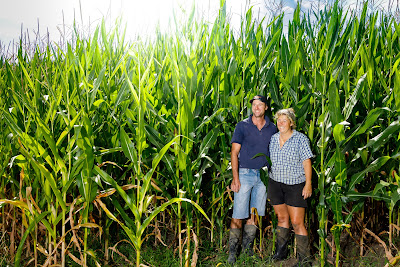Photo from the Seed Guide Testimonial photoshoot for VPMAXX® Catalogue. Featuring farmer, Don Watson, with VPMAXX® Representative, Joe Heng, at the Moreland Farm, South Head Road, Helensville. Taken: 14 February 2020. Photo: Mike Walen / KeyImagery Photography. © Genetic Technologies Ltd