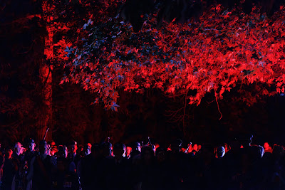 Photo from the Anzac Day 2024 Dawn Service held at Memorial Park in Hamilton, Waikato, New Zealand on Thursday, 25 April, 2024. Photography by Mike Walen / KeyImagery Photography. Copyright: © Hamilton City Council.