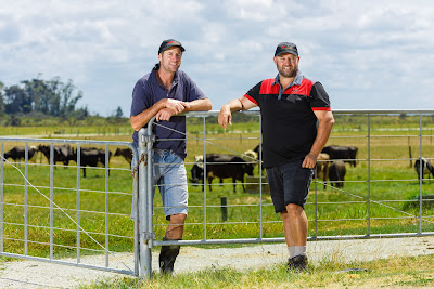 Photo from the Seed Guide Testimonial photoshoot for VPMAXX® Catalogue. Featuring farmer, Don Watson, with VPMAXX® Representative, Joe Heng, at the Moreland Farm, South Head Road, Helensville. Taken: 14 February 2020. Photo: Mike Walen / KeyImagery Photography. © Genetic Technologies Ltd