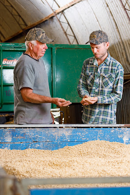 Photo from the MaizeGrain Catalogue photoshoot for Pioneer®. Featuring farmer, Isaac Higham, and father Noel, at the Higham Farm, Helensville. Taken: 7 May 2020. Photo: Mike Walen / KeyImagery Photography for Barker Photography. © Genetic Technologies Ltd
